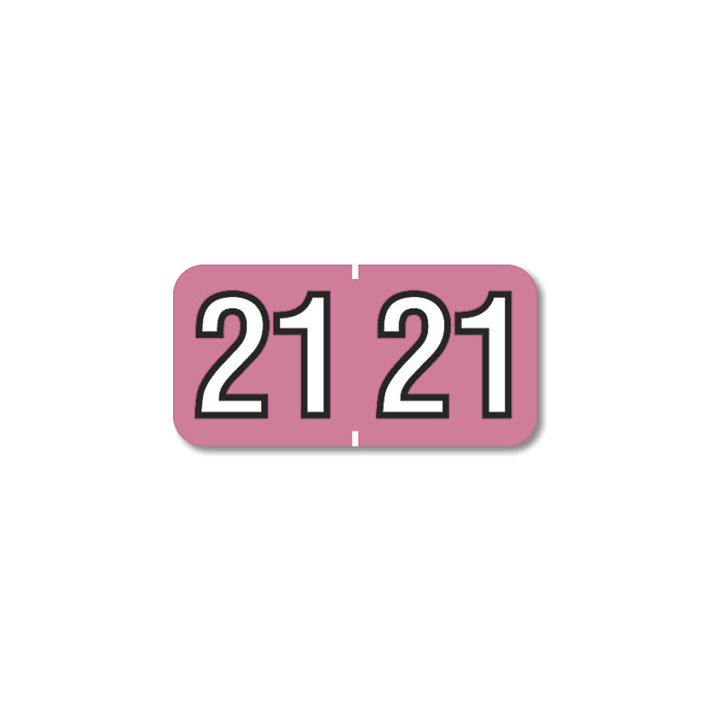 2021 Barkley End Tab Compatible Year Label Pink 