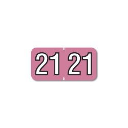 2021 Barkley End Tab Compatible Year Label Pink