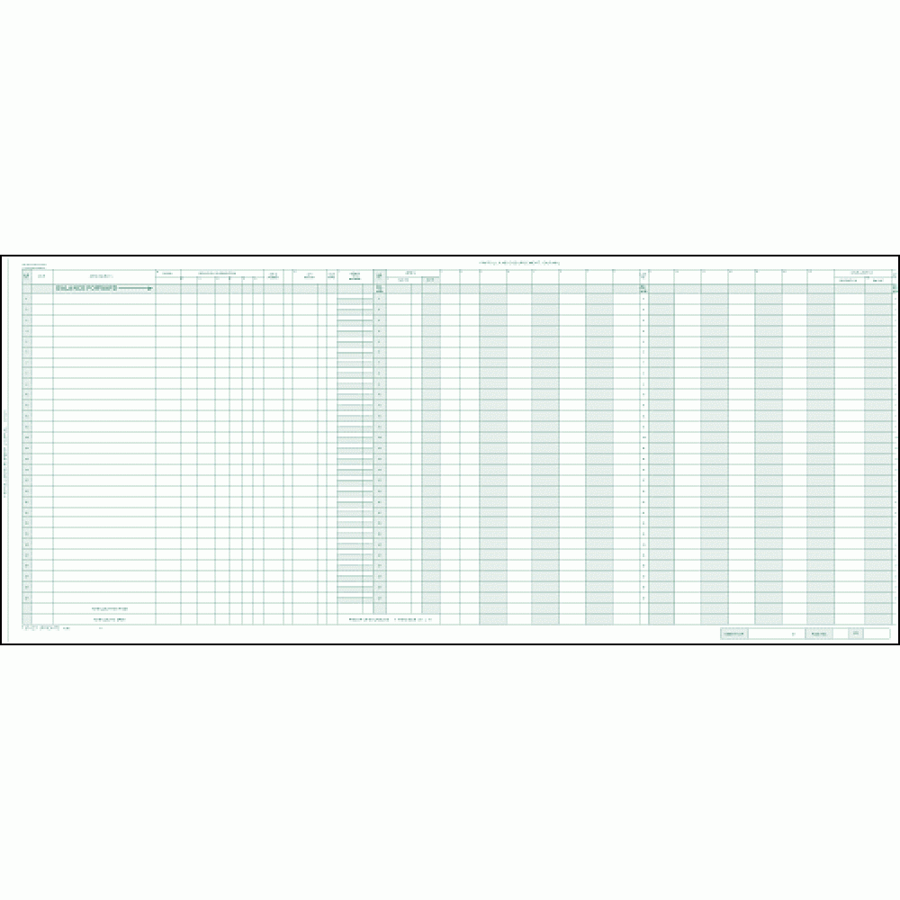 Payroll/General Expense Journal 