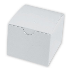 Model Boxes, Single, White