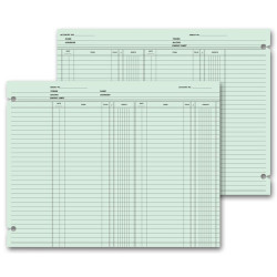 Ledger Sheets - Double Entry