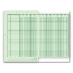 Columnar Work Sheets