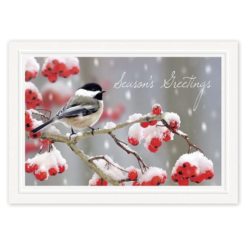 Tweet Greetings Holiday Cards 