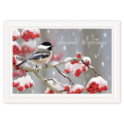 Tweet Greetings Holiday Cards