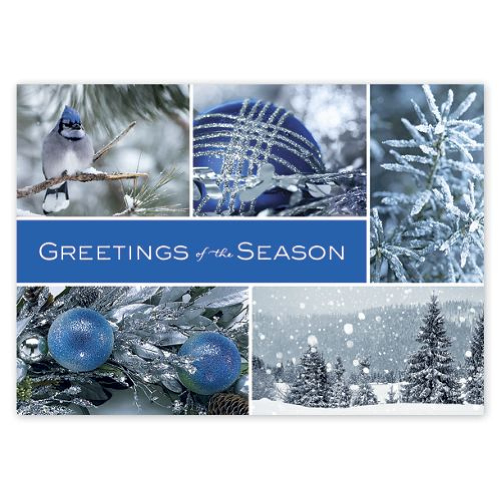 Icy Blue Wonder Holiday Cards 