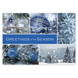 Icy Blue Wonder Holiday Cards