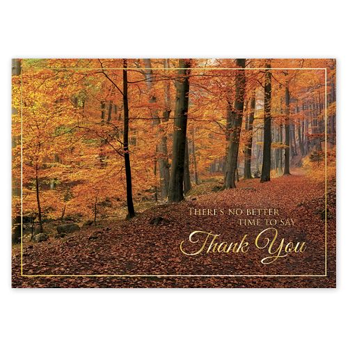 Woodland Gratitude Thanksgiving Cards 