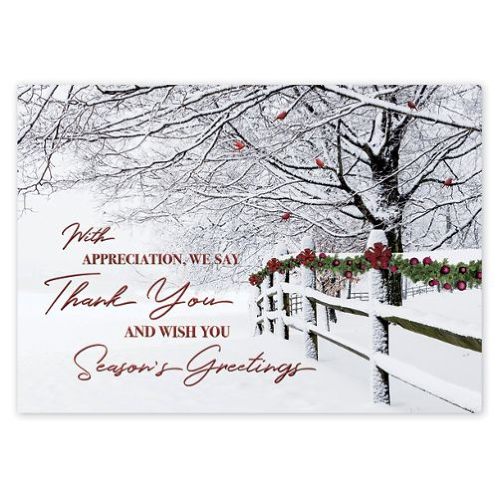 Winter Wishes Holiday Cards 