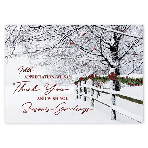 Winter Wishes Holiday Cards 