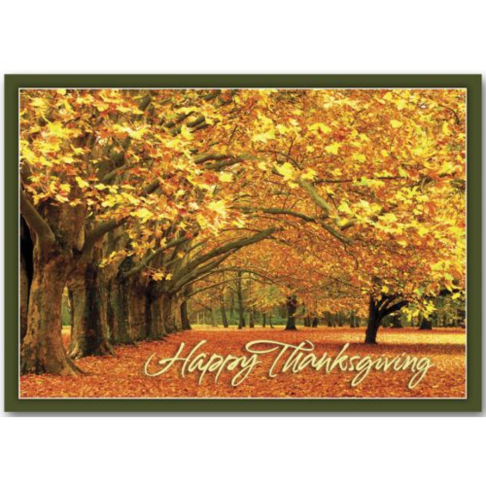 Canopy of Gold Thanksgiving Cards 