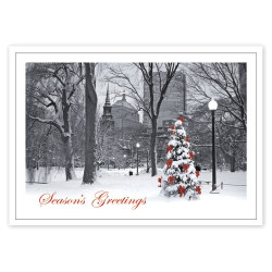 Boston Splendor Christmas Cards