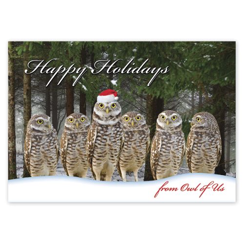 Owl of Us Christmas Cards 