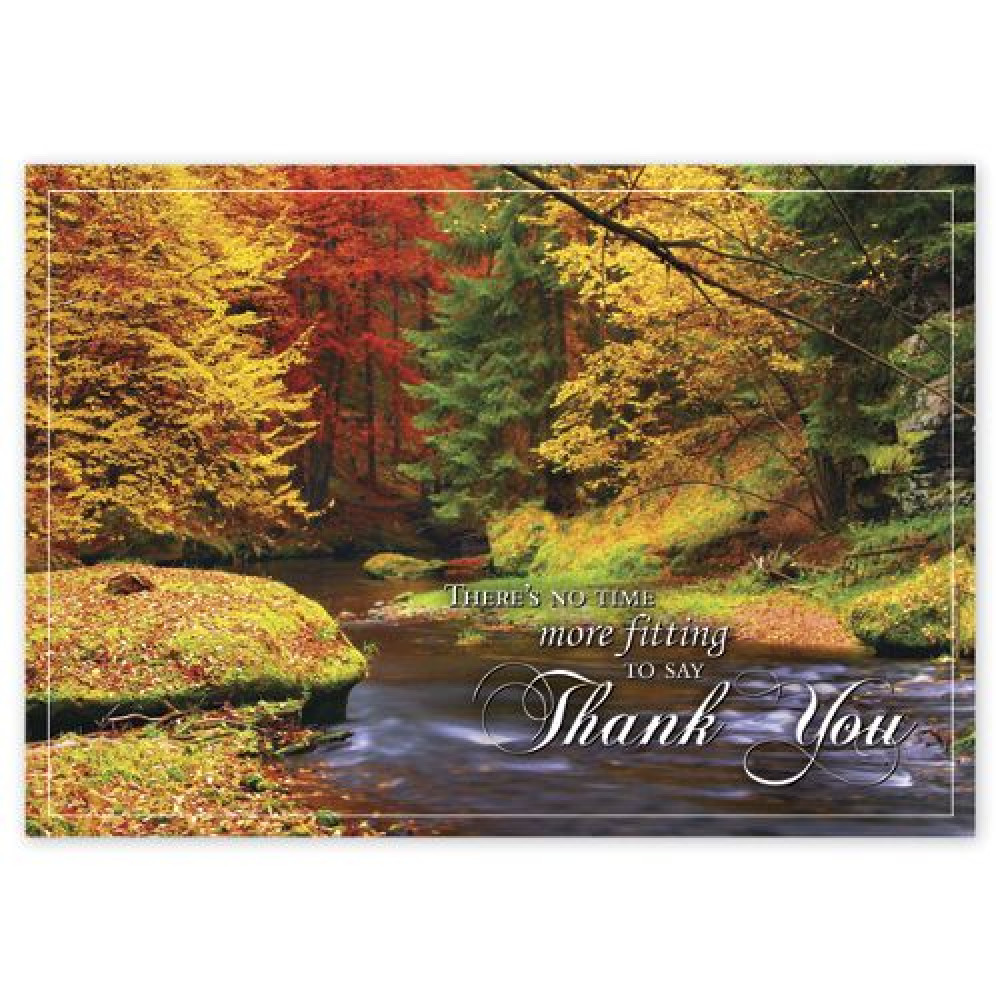 Splashes Of Color Thanksgiving Cards 