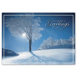 Sky Blue Holiday Cards