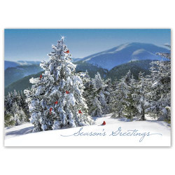 Fresh View Holiday Greeting Cards