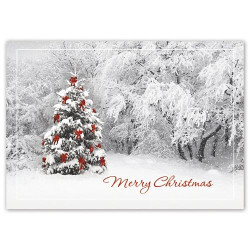 Secret Sighting Holiday Greeting Cards