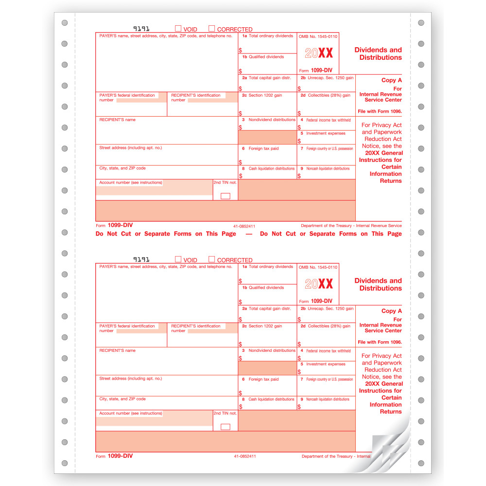 Continuous 1099 DIV Income Carbonless Electronic Filing 