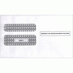 W 2 Double Window Envelope